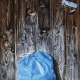 gob_art_003
