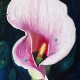 gob_art_025