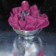 gob_art_032
